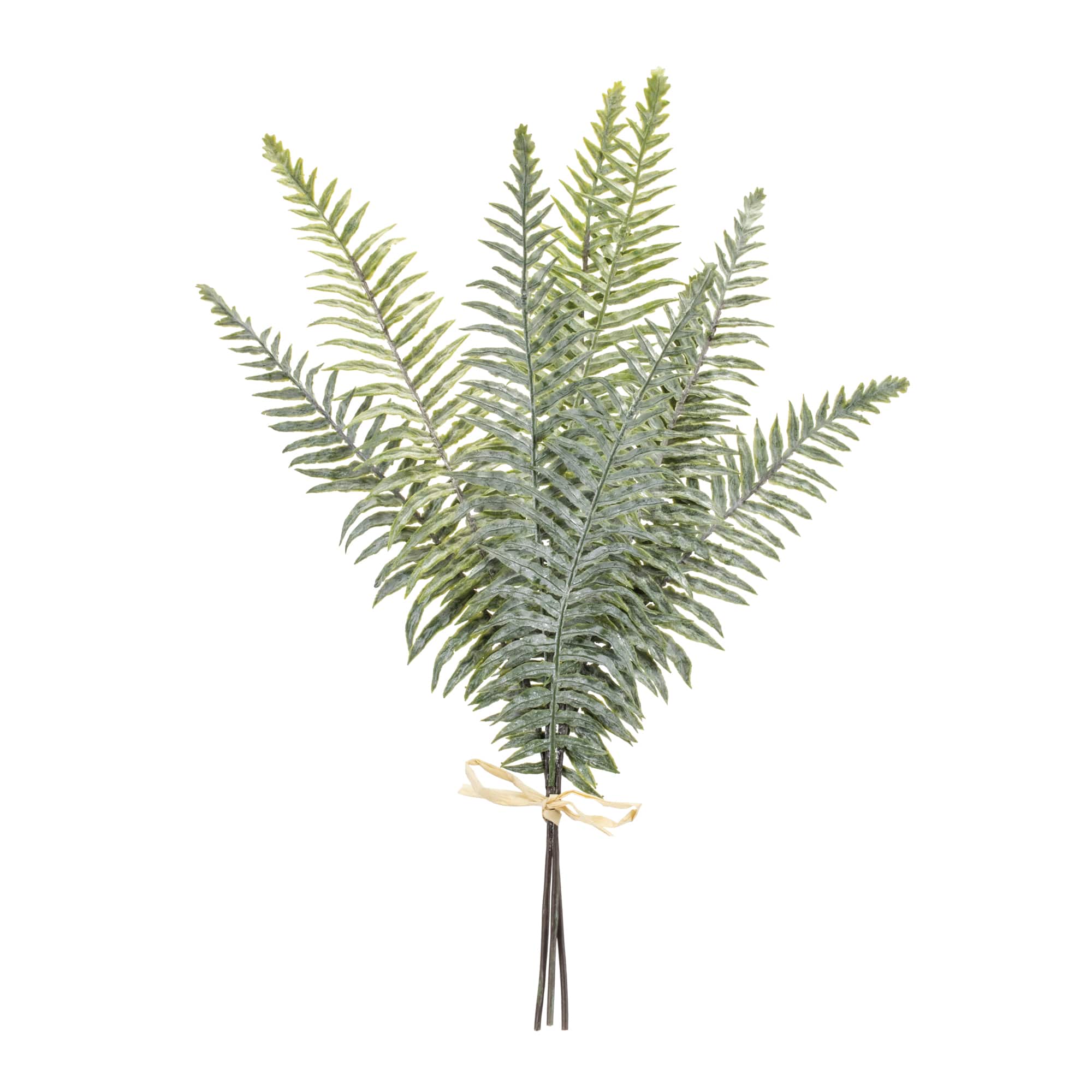 20.5" Fern Foliage Bundles, 2ct.